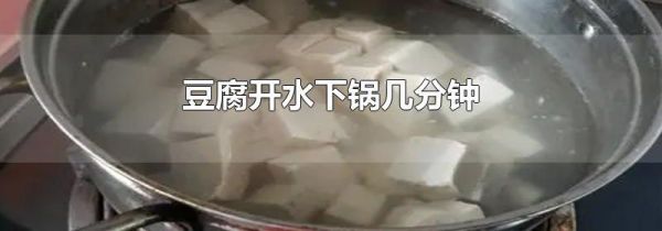 豆腐开水下锅几分钟