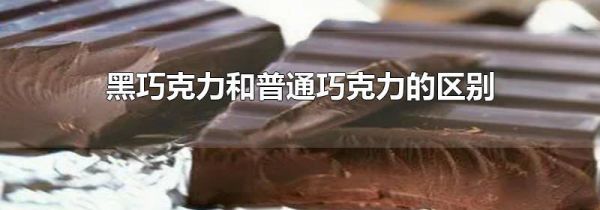 黑巧克力和普通巧克力的区别