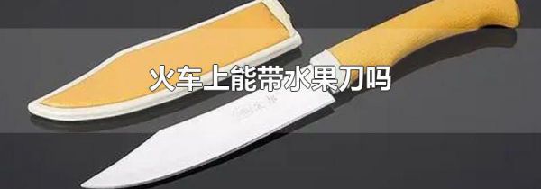 火车上能带水果刀吗