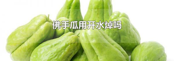佛手瓜用开水焯吗