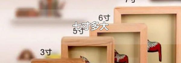 七寸多大