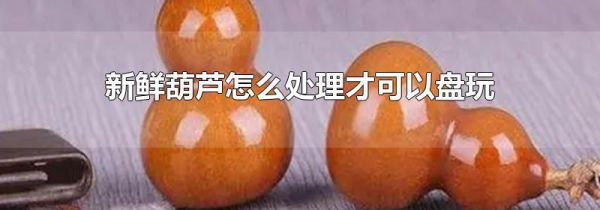 新鲜葫芦怎么处理才可以盘玩