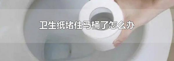 卫生纸堵住马桶了怎么办