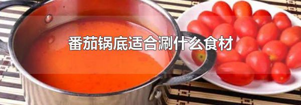 番茄锅底适合涮什么食材