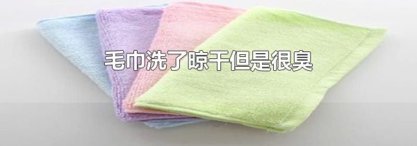 毛巾洗了晾干但是很臭