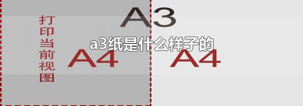 a3纸是什么样子的