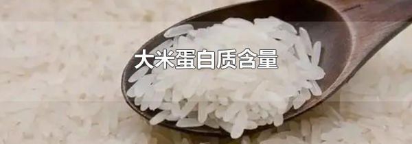 大米蛋白质含量