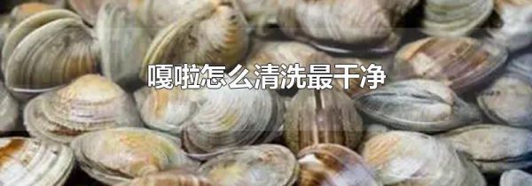 嘎啦怎么清洗最干净