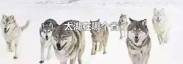 太湖在哪个省