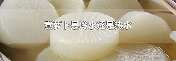 煮萝卜是冷水还是热水