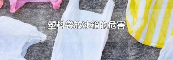 塑料袋放冰箱的危害