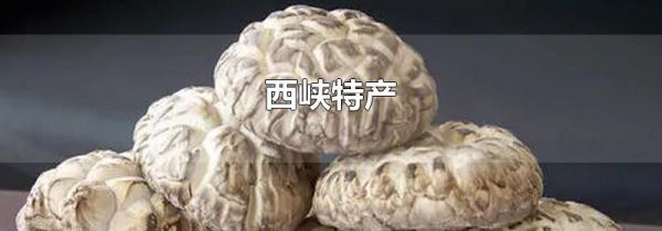 西峡特产