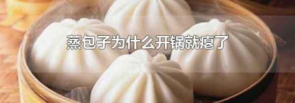 蒸包子为什么开锅就瘪了