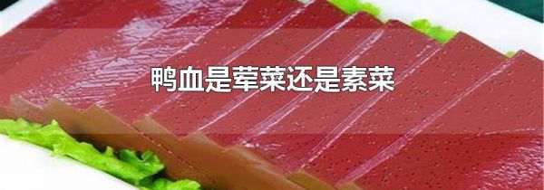 鸭血是荤菜还是素菜