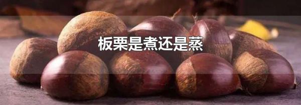 板栗是煮还是蒸