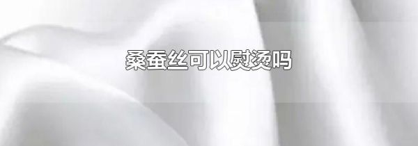桑蚕丝可以熨烫吗