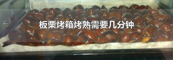 板栗烤箱烤熟需要几分钟