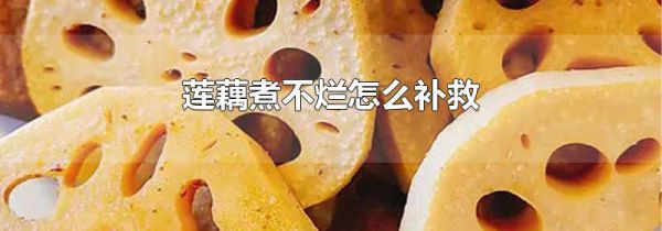 莲藕煮不烂怎么补救