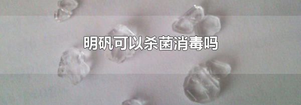 明矾可以杀菌消毒吗