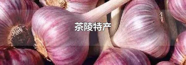 茶陵特产