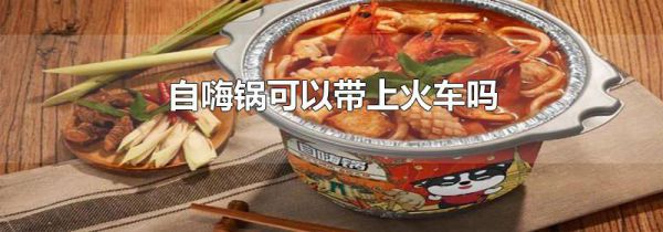 自嗨锅可以带上火车吗