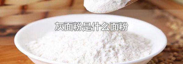 灰面粉是什么面粉