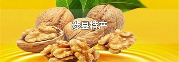 涉县特产