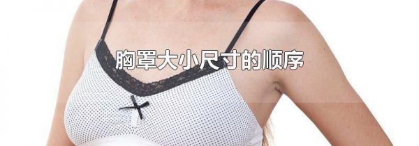 胸罩大小尺寸的顺序