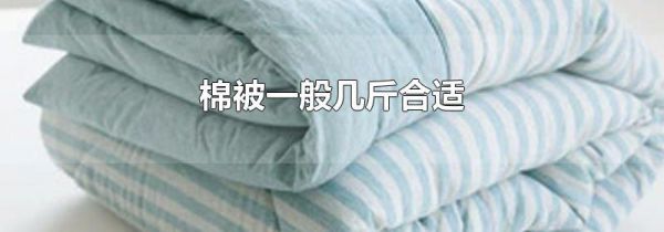 棉被一般几斤合适
