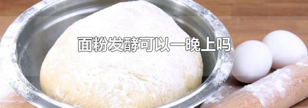 面粉发酵可以一晚上吗