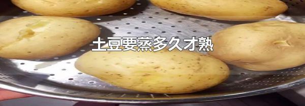土豆要蒸多久才熟