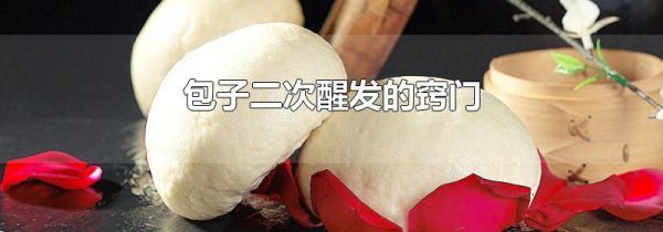 包子二次醒发的窍门