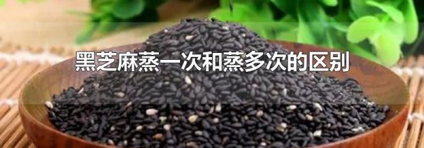 黑芝麻蒸一次和蒸多次的区别
