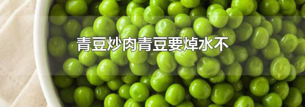 青豆炒肉青豆要焯水不