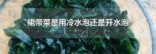 裙带菜是用冷水泡还是开水泡
