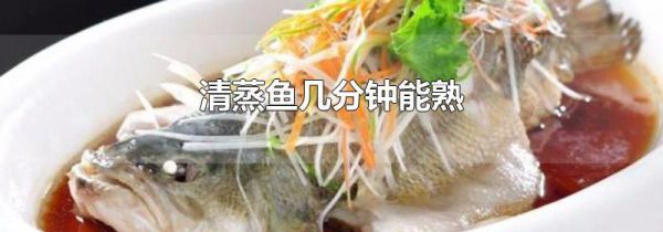 清蒸鱼几分钟能熟