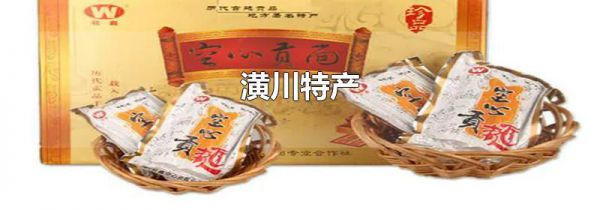 潢川特产