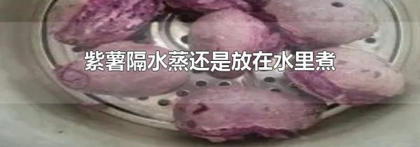 紫薯隔水蒸还是放在水里煮