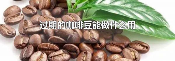过期的咖啡豆能做什么用