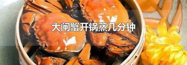 大闸蟹开锅蒸几分钟