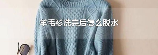 羊毛衫洗完后怎么脱水