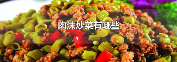 肉沫炒菜有哪些