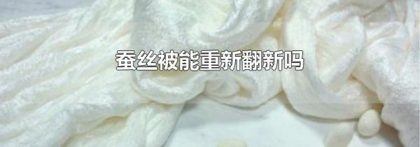 蚕丝被能重新翻新吗