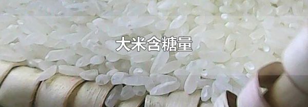 大米含糖量