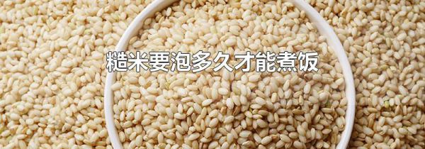 糙米要泡多久才能煮饭