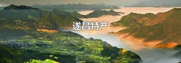 遂昌特产