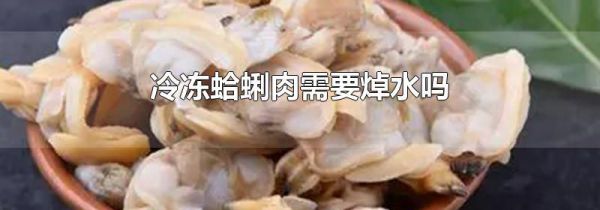 冷冻蛤蜊肉需要焯水吗