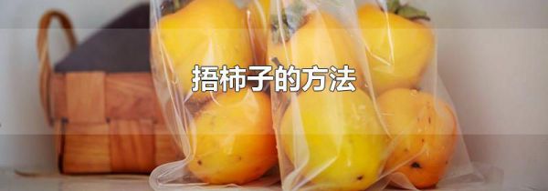 捂柿子的方法