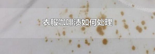 衣服咖啡渍如何处理
