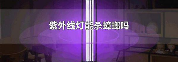 紫外线灯能杀蟑螂吗